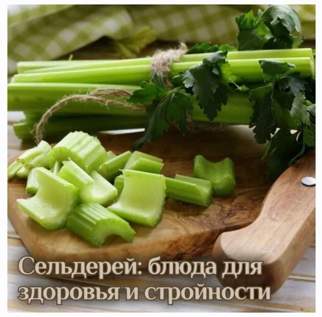 Сельдерей: блюда для здоровья и стройности (Катя Янг)