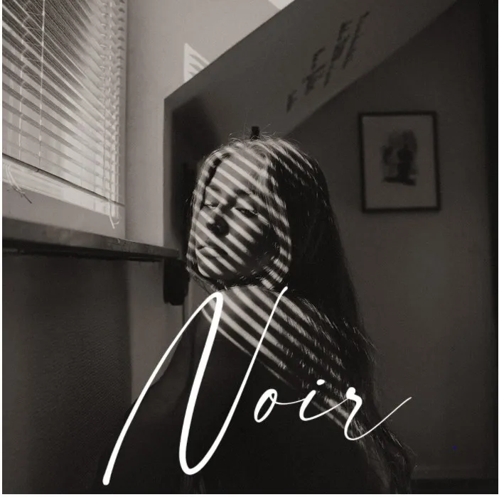 Набор пресетов «Noir B and W» (Kai Böttcher)