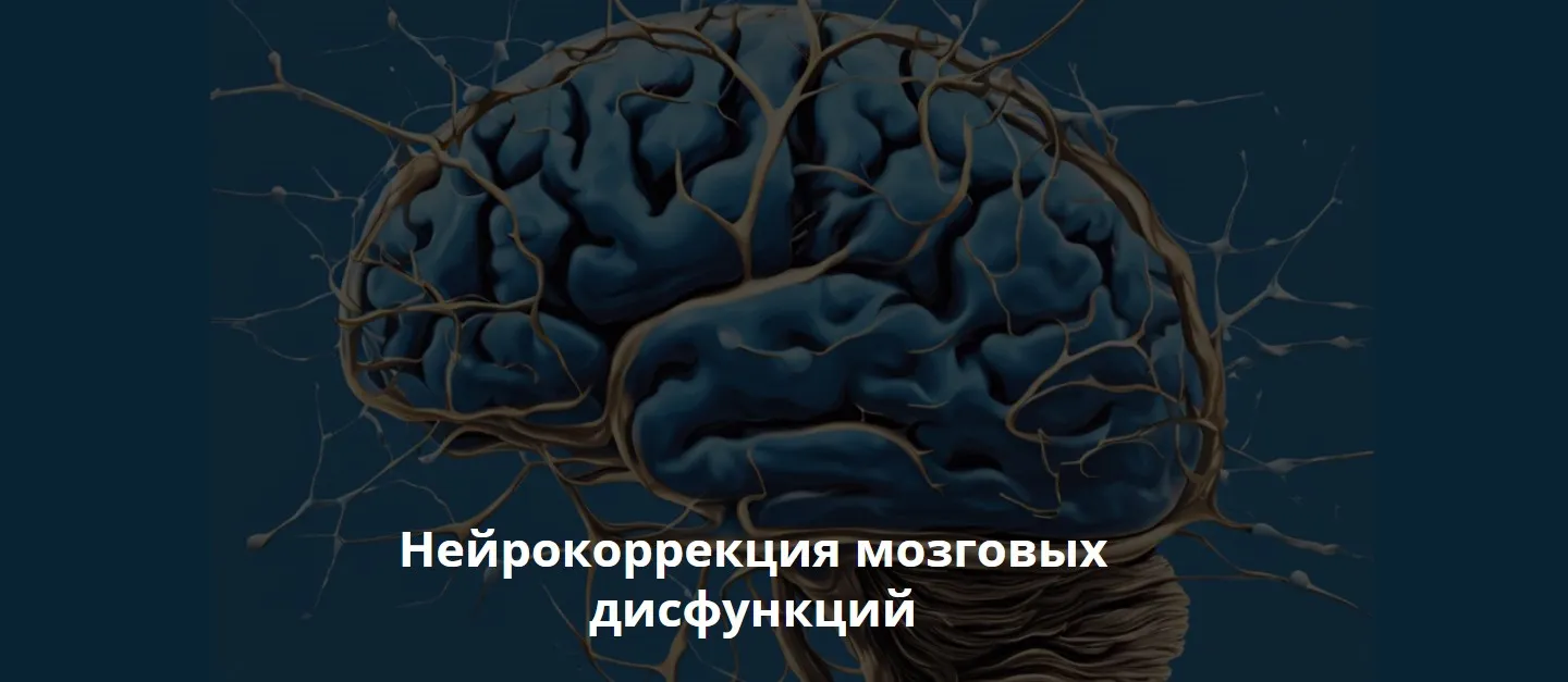 Нейрокоррекция мозговых дисфункций. Ноябрь 2024 (Салима Саиди)