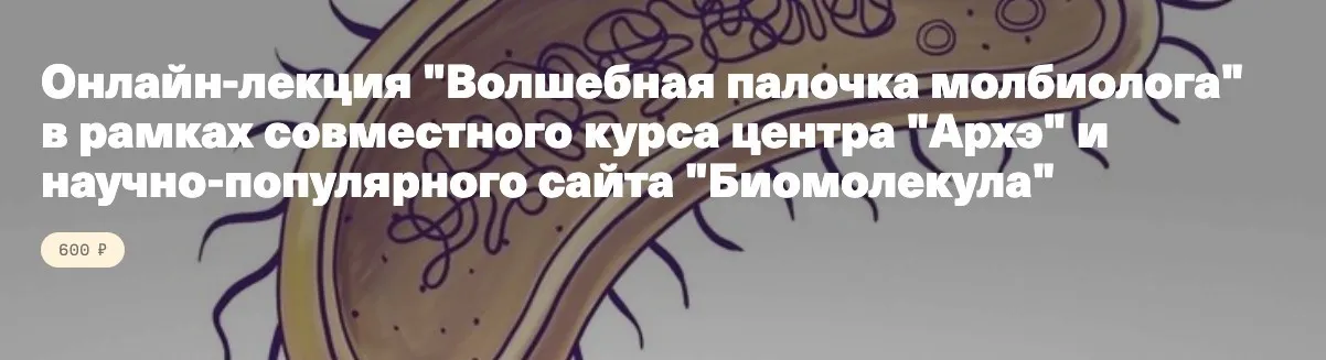 [АРХЭ] Волшебная палочка молбиолога (Ольга Селицкая)