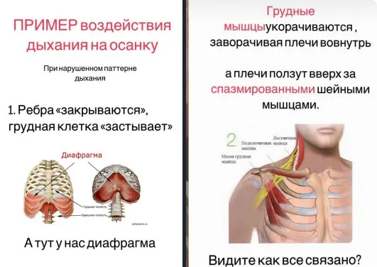 [kate good fitt] Дыши (Екатерина Васильева)