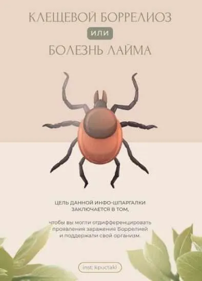 [kpuctakl] Клещевой боррелиоз или болезнь Лайма (Кристина Трофимова)
