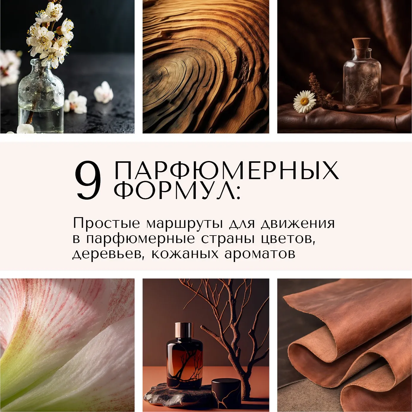 9 парфюмерных формул (Анна Зворыкина)
