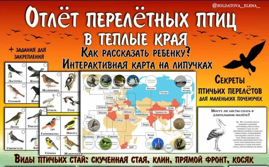 Отлёт перелётных птиц (Елена Солдатова)