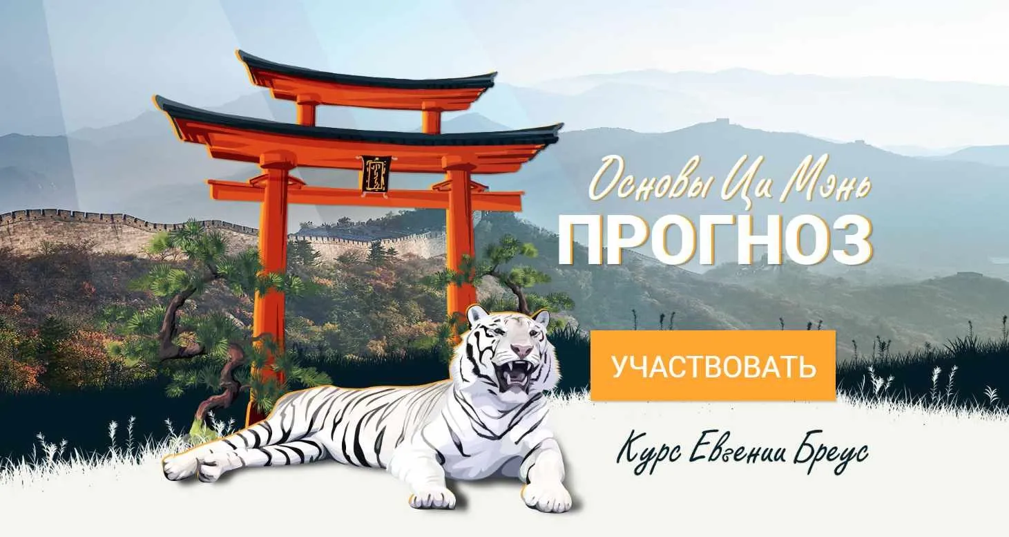 Основы Ци Мэнь. Прогноз (Евгения Бреус)