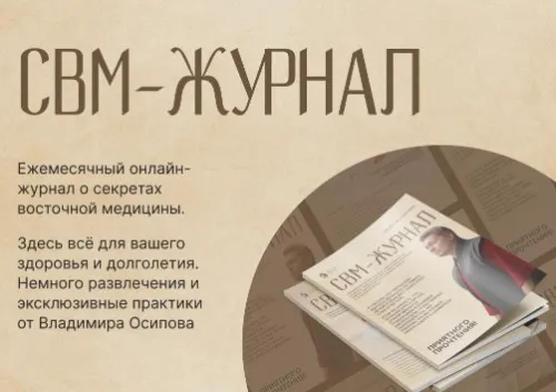 Свм журнал. Выпуск № 6. Декабрь 2024 (Владимир Осипов)