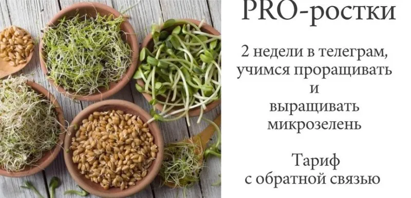 [katrin_ecotrue] PRO-ростки (Екатерина Кудерцева)