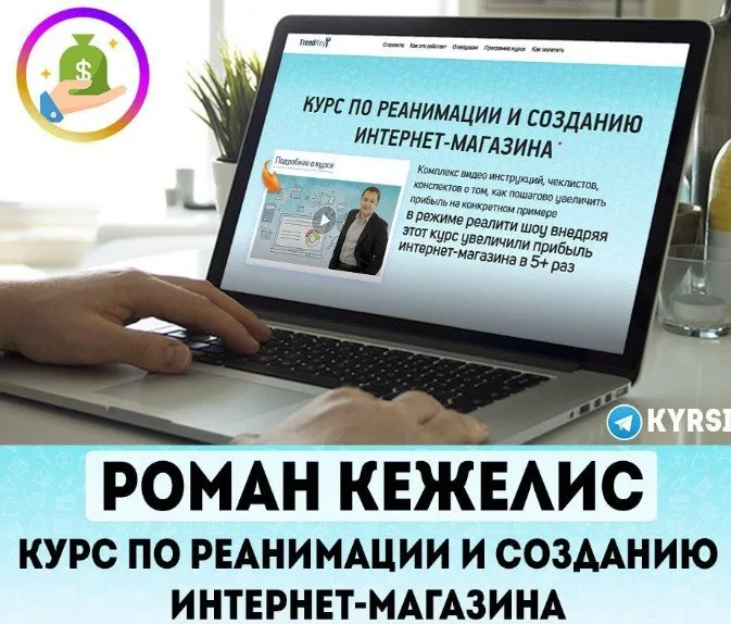 Reality show - Реанимация интернет-магазина, 2018-2019 (Роман Кежелис)