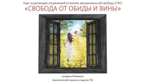 Свобода от обиды и вины. Истинное прощение (Ирина Потемкина)