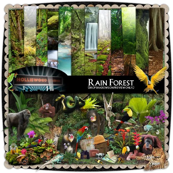 [pickleberrypop] Скрап-набор Rain Forest by Holliewood Studio/Тропический лес от студии Holliewood
