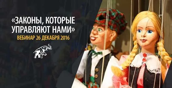 Законы, которые управляют нами, 2016 (Александр Палиенко)