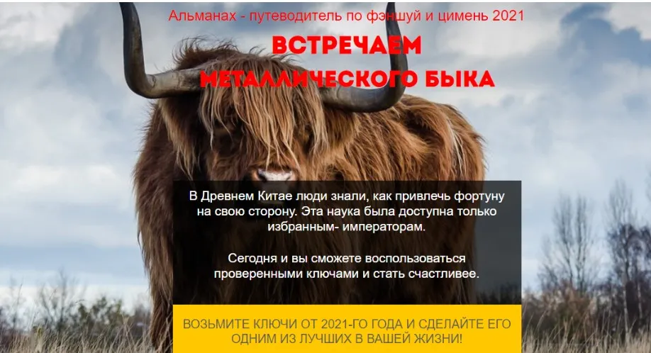 Фэншуй путеводитель по году Металлического Быка 2021. Тариф - Стандарт (Нинель Смолина)