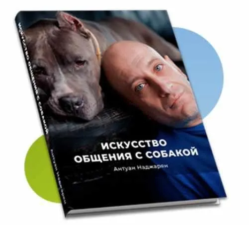 Искусство общения с собакой. Книга + аудио (Антуан Наджарян)