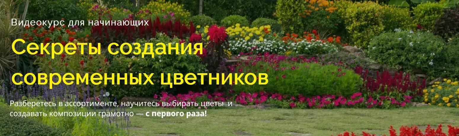 Секреты создания  современных цветников (Наталья Мягкова)