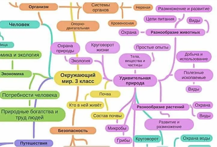 Набор майнд-карт за 1 класс (Олеся Полубоярова)