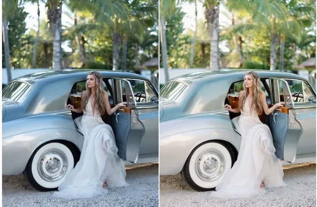 Топовые свадебные Fine-art пресеты с профилями Goodlight presets (Lr)