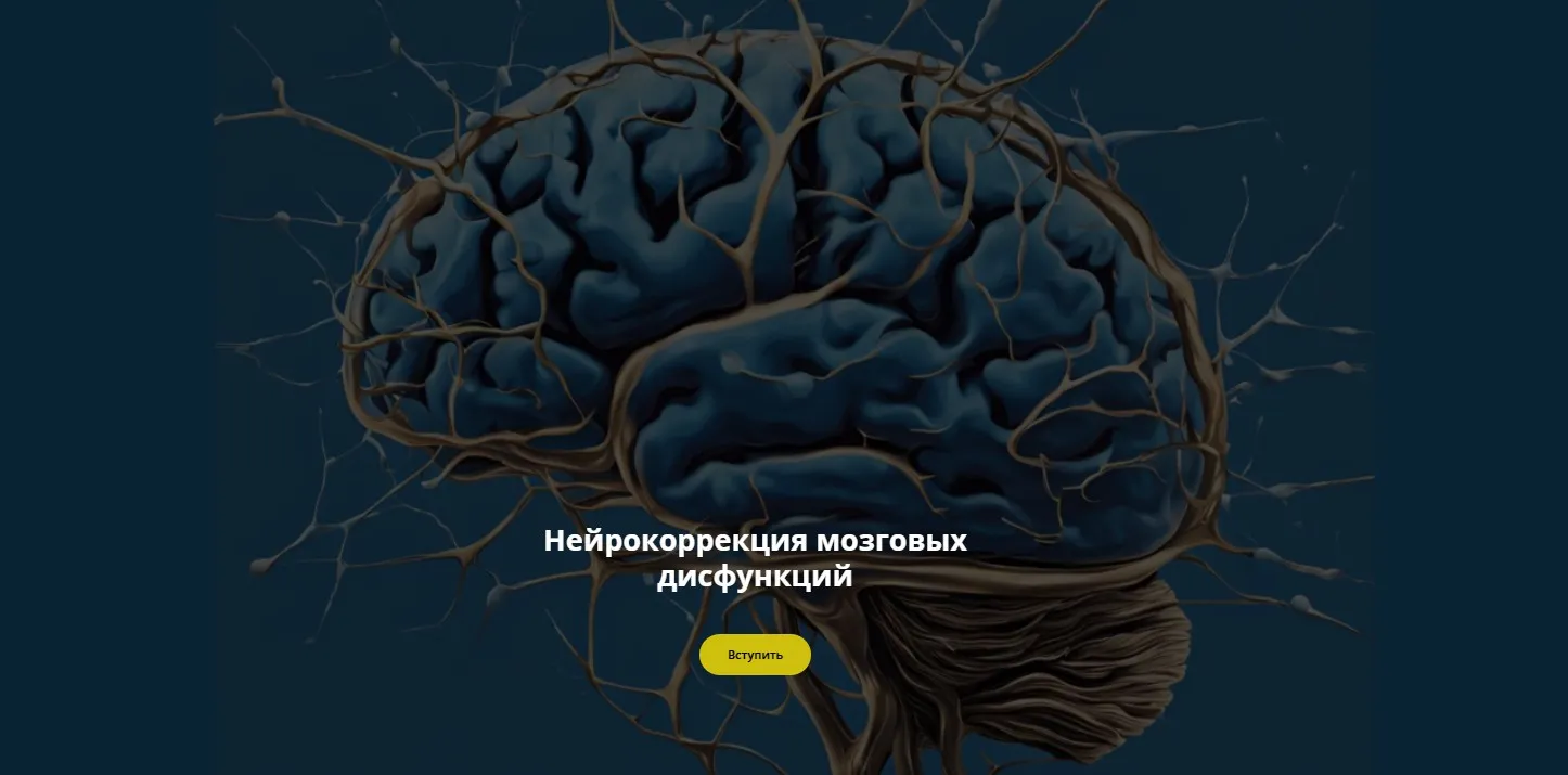 Нейрокоррекция мозговых дисфункций. Октябрь 2024 (Салима Саиди)