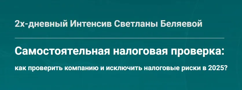 Самостоятельная налоговая проверка (Светлана Беляева)