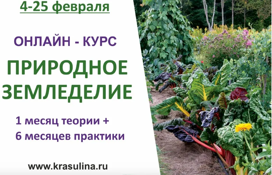 Природное земледелие (Ольга Красулина)