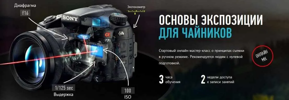 [Profileschool] Основы экспозиции для чайников (Алексей Довгуля)