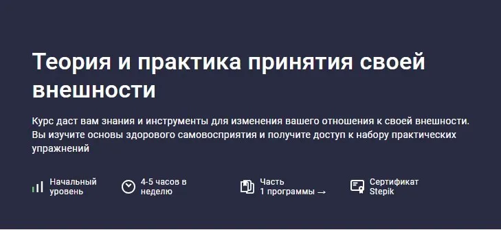 [Stepik] Теория и практика принятия своей внешности (Startgram EdTech)