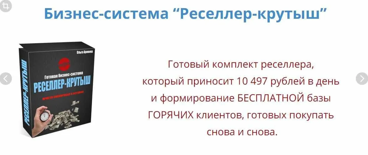 Бизнес-система «Реселлер-крутыш» (Ольга Аринина)