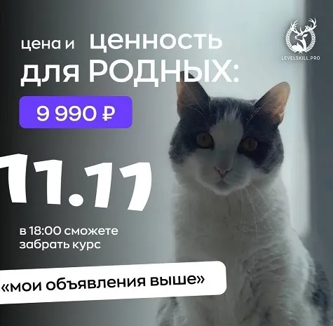 Мои объявления выше (Владимир Шамо)