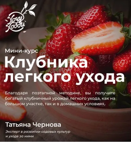 [ХочуХобби]Огород легкого ухода (Татьяна Чернова)