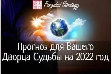 [Fengshui Strategy] Прогноз для Вашего Дворца Судьбы на 2022 год (Юлия Полещук)