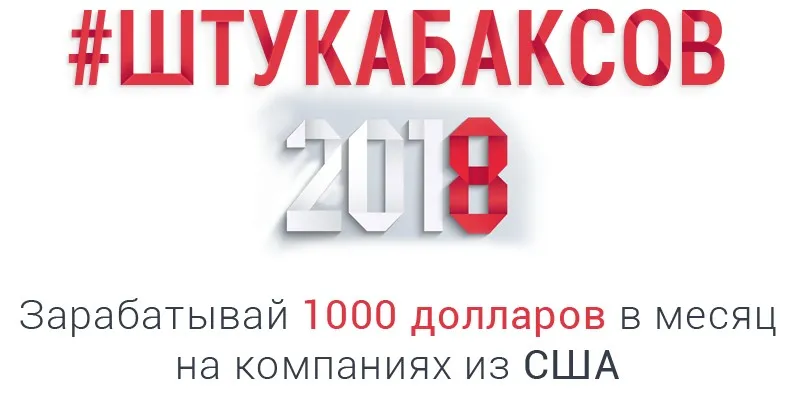 1000 долларов в месяц на компаниях из США (Макс Нестерчук)