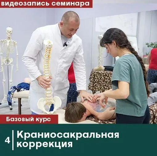 [Сандал] Краниосакральная коррекция. Без сертификата (Антон Циванюк, Михаил Белюк)