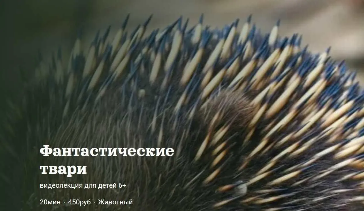 [Детский лекторий] Фантастические твари (Александр Толмачев)