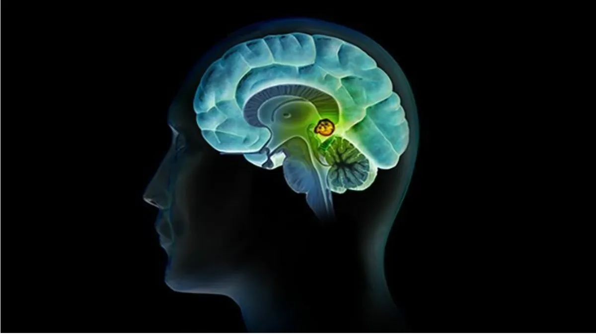 [Sigh Energy] Активация шишковидной железы Powerful Plus + 11x (Extra Strong). Pineal Gland Activation Powerful Plus +11x(Extra Strong)