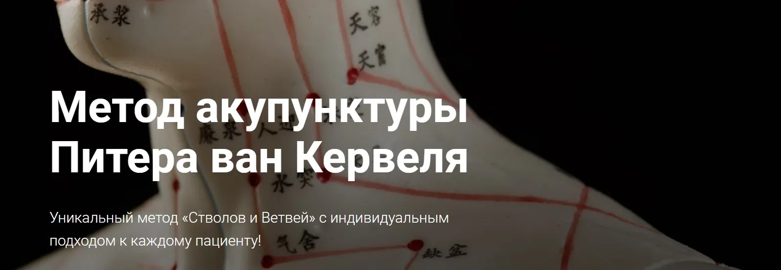 [Краниосакральная академия] Акупунктура по Нэй Цзин. Семинар 12 (Питер ван Кервель)