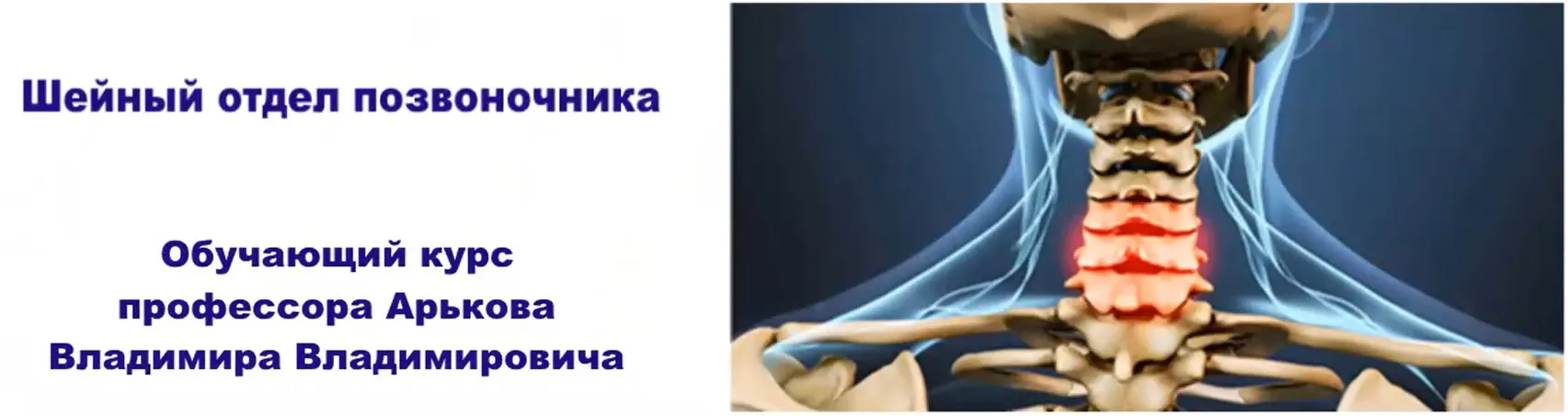 Шейный отдел позвоночника (Владимир Арьков)