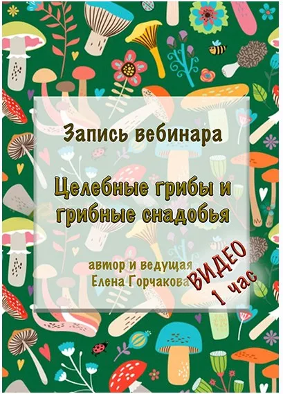[Медвежий угол] Целебные грибы и грибные снадобья — 1 час видео (Елена Горчакова)