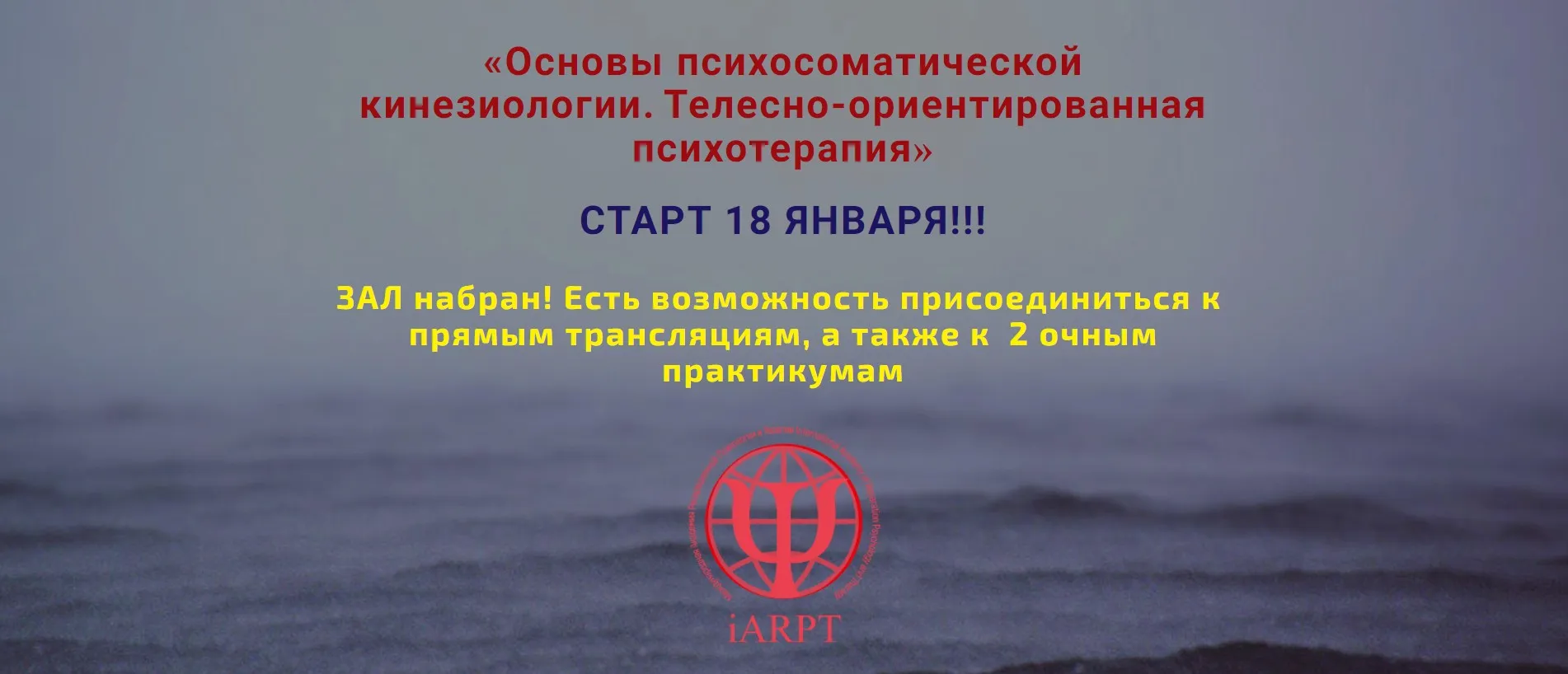 Основы психосоматической кинезиологии. Телесно-ориентированная психотерапия. Урок 4. 2023 (Анна Чернигова)