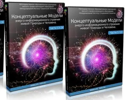 Переключение с высоких орбиталей на более низкие. Интерес к жизни Здесь и Сейчас (Вячеслав Губанов)