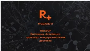 [Remee+] Витамины. Активация, транспорт и внутриклеточная доставка. Модуль 6 (Владимир Попов)