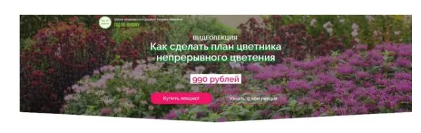 Как сделать план цветника непрерывного цветения (Наталья Мягкова)