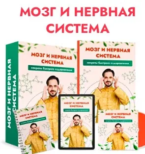 [Центр здоровья Ksamata] Мозг и нервная система (Данила Сусак)