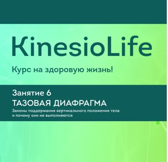 [KinesioLife] Семинар 6. Тазовая диафрагма (Дмитрий Маликов)