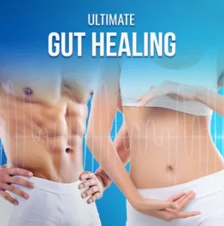 [Qi Life] Исцеление кишечника (David Wong)