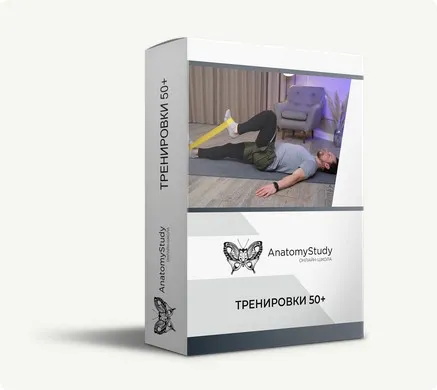 [AnatomyStudy] Тренировки 50+ (Вадим Балюк)