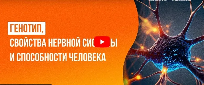 [Инфоурок] Генотип, свойства нервной системы и способности человека (Мария Афанасьева)