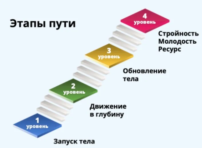 Твой путь к стройности и молодости. 4 месяц (Светлана Рахманова)