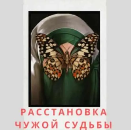 Расстановка чужой судьбы (Евгения Кузнецова)