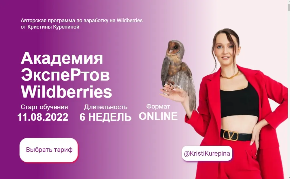 Академия экспертов Wildberries. Тариф Старт (Кристина Курепина)