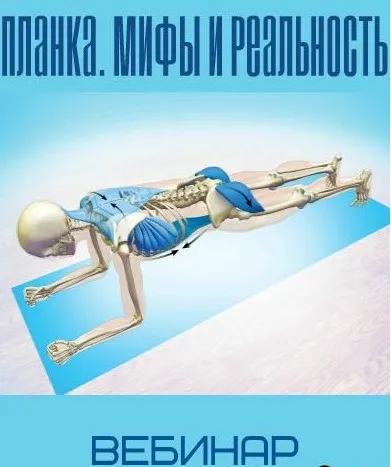 Планка. Мифы и реальность (Анна Воронина, Антон Шапочка)