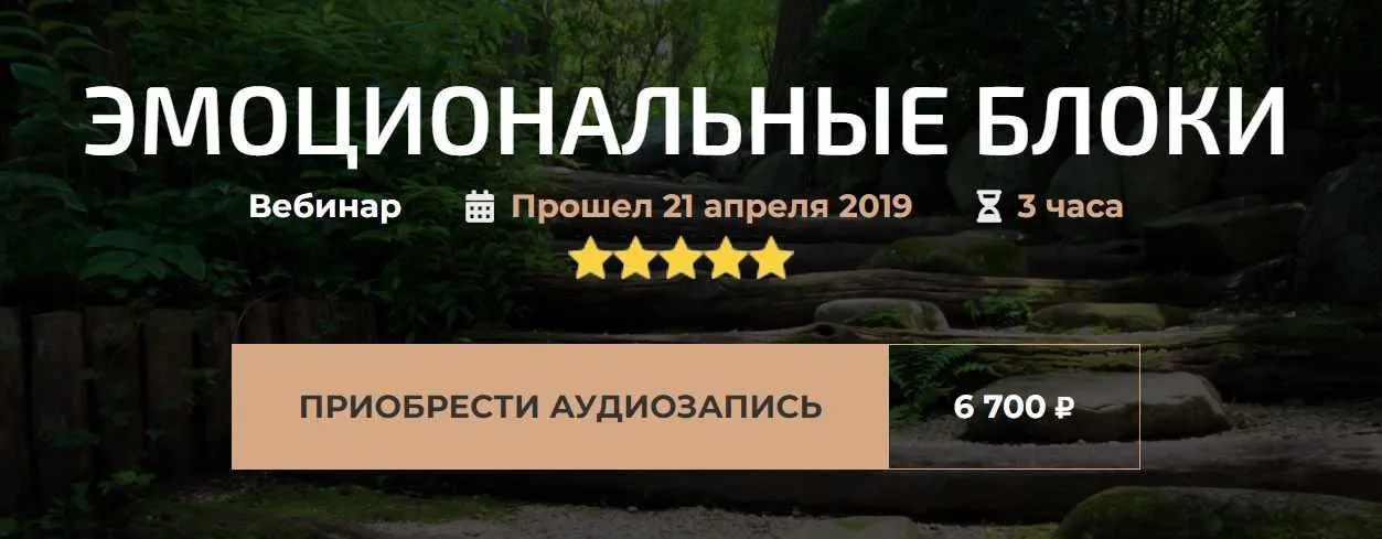 Вебинар «Эмоциональные блоки» (Александр Палиенко)